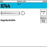 Industrial Quality Supplies ISO 8744 Kegelkerbstifte 1.4305 8 x