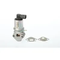 BorgWarner (Wahler) BORGWARNER AGR-Ventil elektrisch, mit Dichtung