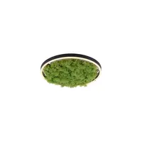 Just light. LED-Deckenleuchte Gerda Ritus Moos 39 cm