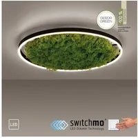 Just light. LED-Deckenleuchte Gerda Ritus Moos 58,5 cm