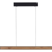 Paul Neuhaus Neuhaus PURE LED-Pendelleuchte Pure-E-Motion Alu, Eisen, Stahl