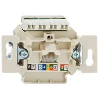 Rutenbeck 132104010 ClassEA iso U-Anschlussdose ungeschirmt, 1-fach Unterputz mit