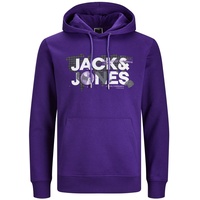 JACK & JONES Herren Kapuzenpullover Hoodie JCODUST Regular Fit