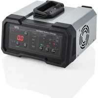 AEG Batterieladegerät CW20