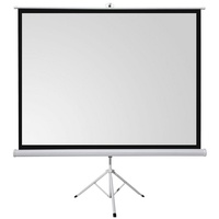 Celexon basic Stativ-Leinwand 120" | 220x220 cm 1:1 |