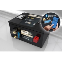 Forster individual batteries FORSTER 500Ah 12,8V Lithium LiFePO4 Premium