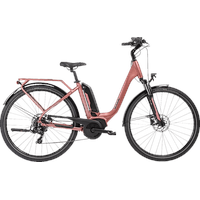 Allegro City Plus Citybike (Laufradgröße: 28 Zoll, Rahmenhöhe: 48