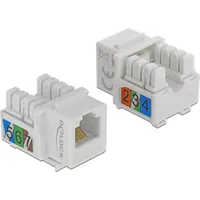 DeLock Keystone