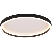 Trio Reality Leuchten LED-Deckenleuchte Rotonda Schwarz matt Ø 35