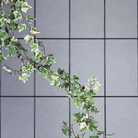 Siena Garden Siena Garden, Pflanzen Zubehör, Spalier (150 cm,