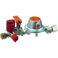 GOK Regleranlage RVS 8mm,1,0 kg/h, 50mbar für Gastanks