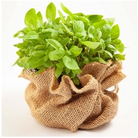 Aquagart 75m x 1m Jutegewebe 215g/m2 Jutematte Gartenjute Jute