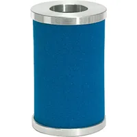 Riegler Filterelement, für Mikrofilter, G 2