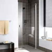 Kermi Pendeltür Raya 1TR 0780x