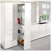 Kesseböhmer Dispensa-X Apothekerauszug 100 Kg Tragkraft 300 mm x