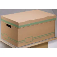 Cartonia Archivcontainer für individuelle Aufbewahrung 54,8 x 36,4 x