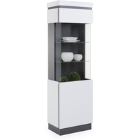Möbel Kraft Vitrine - BHT ca. 60,00x200,50x40,00