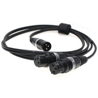Fischer Amps XLR Adapterkabel für In Ear Stick /