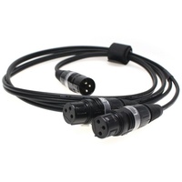 Fischer Amps Cable for In Ear Stick