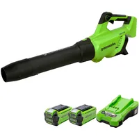 Greenworks GD40ABK2X Axial Akku Laubbläser mit bürstenlosem Motor, 210