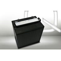 Q-Batteries 8DC-170 8V 170Ah Deep Cycle Traktionsbatterie