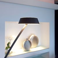 Oligo Glance LED Stehleuchte gebogen schwarz matt