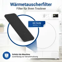 Vioks Schwammfilter 2er Set Filter passend wie Candy 40006731