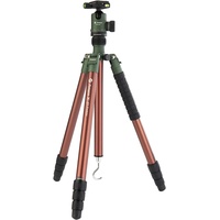 FotoPro X Go Predator Grün