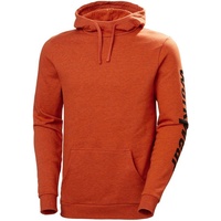 HELLY HANSEN Logo Hoodie - M