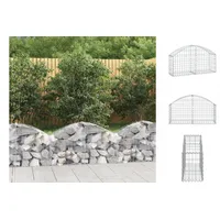 VidaXL Gabione mit Hochbogen 100x30x40/60 cm Verzinktes Eisen