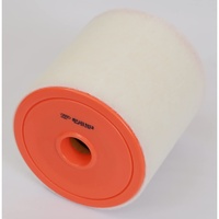 Mahle Luftfilter LX 4961