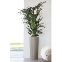 Ecopots Amsterdam ØxH: 32x70 cm