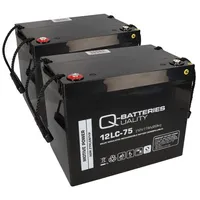 Akkuman Akku kompatibel E-Mobile und Scooter Proflex 2x 12V