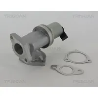 TRISCAN AGR-Ventil