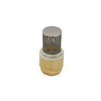 PUTEUS Messing Fußventil 1 1/4" 5/4 Zoll DN32 Saugfilter