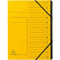 Exacompta Ordnungsmappe - Gummizug, innen schwarz, 12 Fächer A4