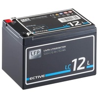 Ective LC 12L 12V LiFePO4 Lithium Versorgungsbatterie, 12Ah