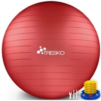 TRESKO Gymnastikball mit Pumpe Fitnessball Yogaball Sitzball Sportball Pilates