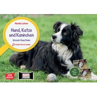 Don Bosco Hund, Katze und Kaninchen. Unsere Haustiere. Kamishibai
