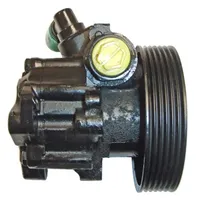 Lizarte Servopumpe schwarz für Peugeot 806 Fiat Ulysse CITROEN