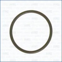 AJUSA Ansaugkrümmerdichtung 16023100