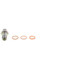 Bosch Reparatursatz, Kraftstoffpumpe 1 587 010 536