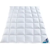 Häussling Hjemme hygge Körperanpassung Kassettenbett extra warm Daunen/Federn 155x220