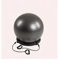Swedish Posture Gymnastikball, (65 cm)