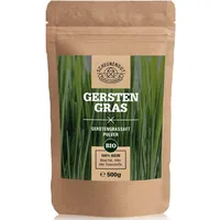Scheunengut Scheunengut® Gerstengrassaft Pulver Bio 500 g