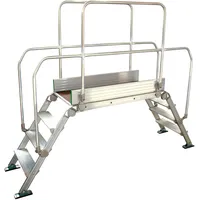 FACAL Diva Überstieg 60° Plattform 90x53cm 7 Stufen