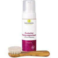 GREENDOOR Reinigungsschaum Kombi 2 St