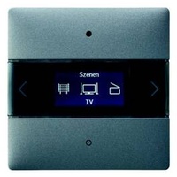 Theben 4802418 LUXORliving-Raumcontroller, integrierter Raumtemperaturregler, Farbe silber LUXORliving iON8