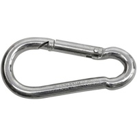 SWG Karabiner