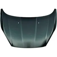 Diederichs Motorhaube für FORD Fiesta VI